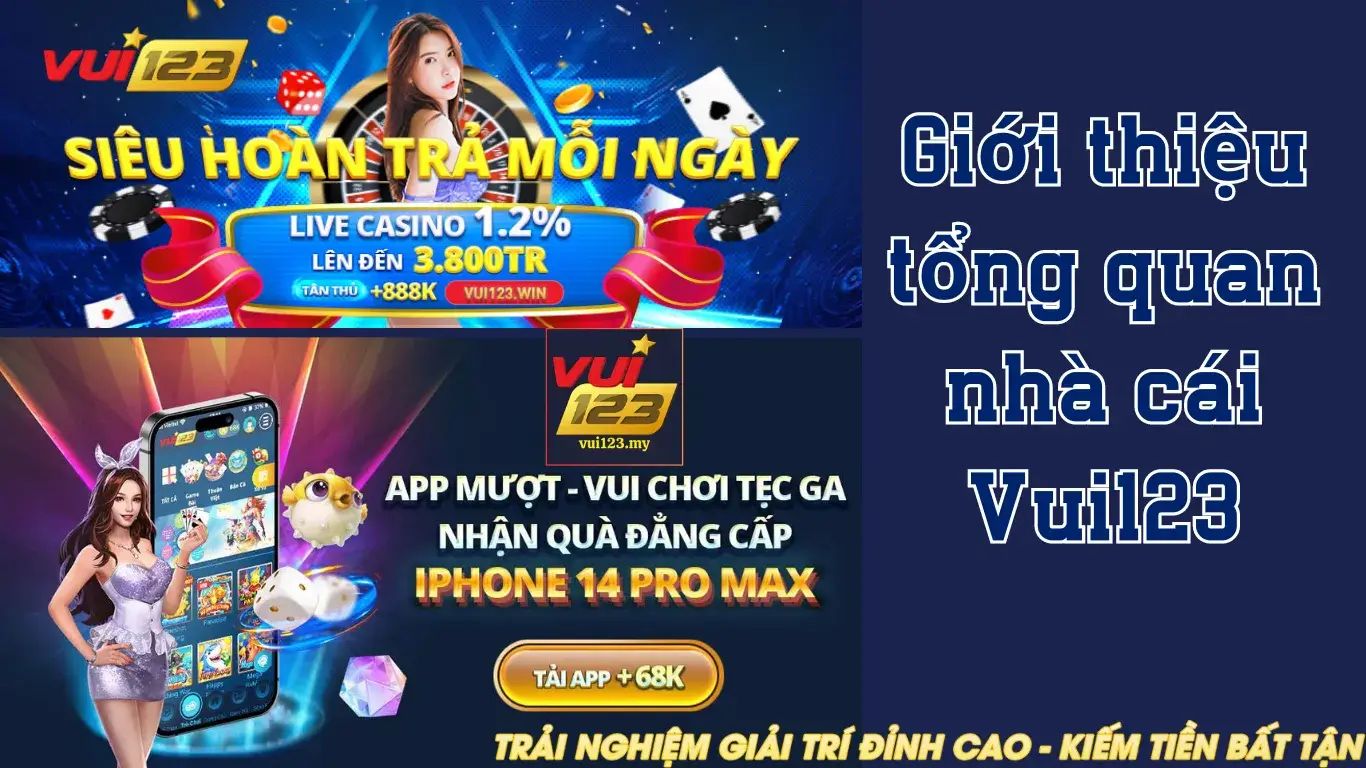 Giới thiệu chung về nhà cái Vui123