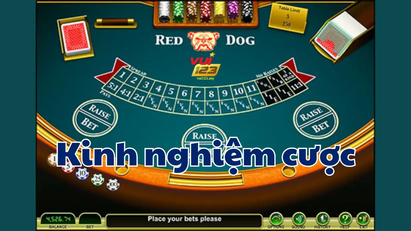 Kinh nghiệm tham gia Red Dog casino